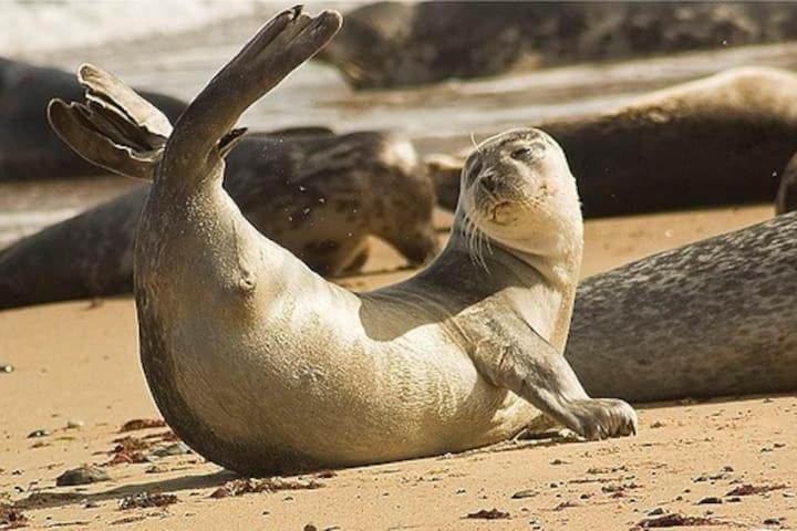 Relaxing Chalet On Popular California Sands Short Stroll To Beach, Nr Norfolk Broads & Great Yarmouth Scratby ภายนอก รูปภาพ